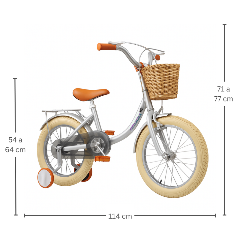 Bicicleta criança Vintage Cinza 16"