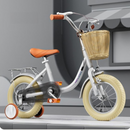 Bicicleta criança Vintage Cinza 18"