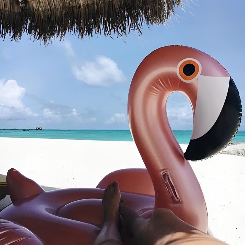 Boia insuflavel para adultos - Flamingo