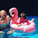 Boia Insuflável Infantil - Flamingo Rosa (90cm)
