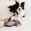 Anti Mite vacuum Jimmy JV35