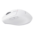 Rato Wireless MS61 - Branco