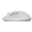 Rato Wireless MS61 - Branco