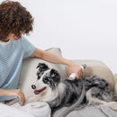 Pet Grooming Kit & Vacum - P1