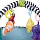 Tapete & Ginásio para Bebé com 30 Bolas