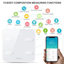 Balança Corporal F12B