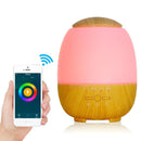 Aroma diffuser 601W